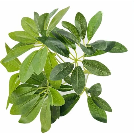 Schefflera Verde, Foglie 49, Cm 40