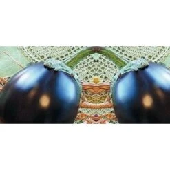 Melanzana Tonda Innestata (vaso 14)