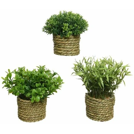 Pianta Verde Artificiale In Vaso 16 Cm - immagine 3