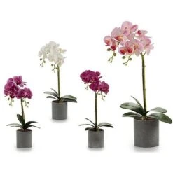 Vaso Grigio (14 X 51 X 21 Cm)