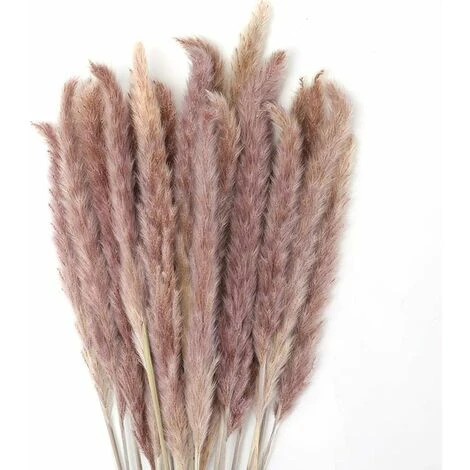 SOEKAVIA 30 Pezzi Erba Di Pampa, Bouquet Di Fiori Secchi Di Pampa Naturale Da 45 Cm Per Vasi, Decorazione Boho Camera Da Letto Soggiorno Casa, Decorazione Da Tavola Fotografia Di Matrimonio