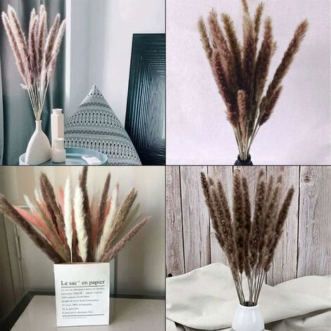 SOEKAVIA 30 Pezzi Erba Di Pampa, Bouquet Di Fiori Secchi Di Pampa Naturale Da 45 Cm Per Vasi, Decorazione Boho Camera Da Letto Soggiorno Casa, Decorazione Da Tavola Fotografia Di Matrimonio - immagine 2