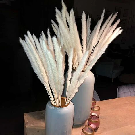 SOEKAVIA 30 Pezzi Di Piccola Erba Di Pampa Essiccata Naturale, Phragmites Communis, Bouquet Da Sposa E Fotografico Per L'arredamento Della Casa (bianco, 30 Pezzi) - immagine 4