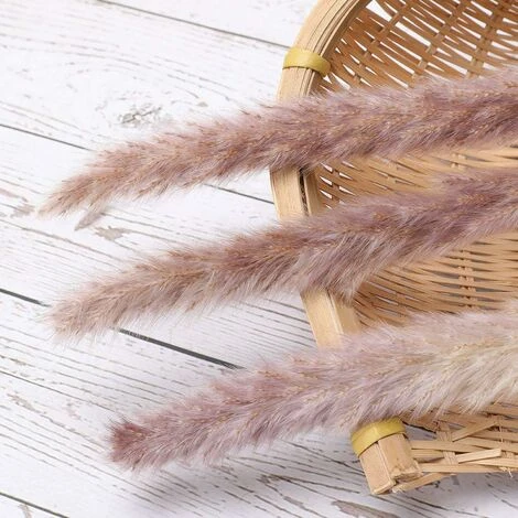 MINKUROW 30 Pezzi Di Erba Di Pampa, Bouquet Di Fiori Secchi Di Pampa Naturale Da 45 Cm Per Vasi, Decorazione Boho Camera Da Letto, Soggiorno, Casa, Decorazione Da Tavola Per Matrimoni - immagine 4