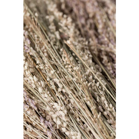 SKLUM Ramo Decorativo Ainala Colori Naturali - immagine 5