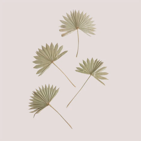 SKLUM Confezione Da 4 Rami Secchi Decorativi Urpek Verde Bambù