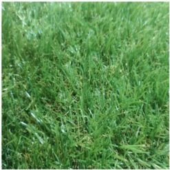 Prato Sintetico Composizione 100% Polipropilene Spessore 20 MmMisurare 1x2,5m