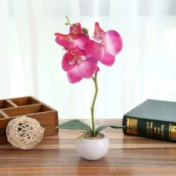 Pianta Di Simulazione Piccolo Vaso Rotondo Phalaenopsis Bonsai Fiore Di Simulazione Ornamenti Di Fiori Di Seta D