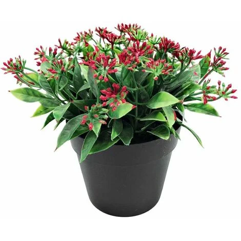 Pianta Artificiale Fiore Artificiale Foglia Piccola Legno Di Sandalo Colore Rosso Simulazione Bonsai Pianta Pianta Alghe Fiore Decorazione Della Casa Simulazione Bonsai (rosso)