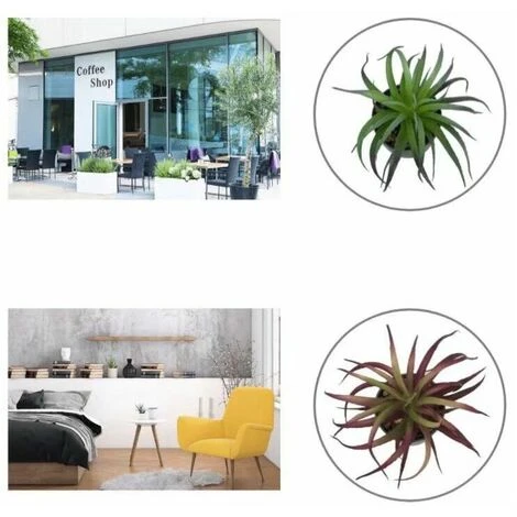 Pianta Artificiale Simulazione Di Fiori Artificiali Pianta Grassa Fresia Pianta In Vaso Simulazione Interna Fiore Decorazione Della Casa Bonsai Ornamenti Pianta Verde Pianta Di Simulazione (Marrone) - immagine 5