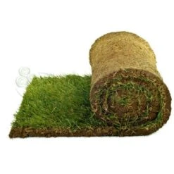 Prato Pronto A Rotoli In Erba Naturale By PratoErboso - 25 Mq